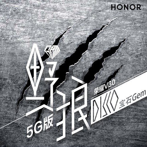 野狼disco(荣耀V30 5G版)