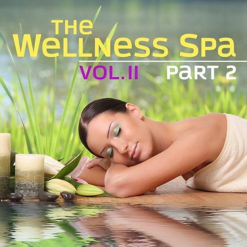 The Wellness Spa, Vol. 2 - Part 2 (More soft instrumental piano music for meditation, relaxation, massage, stress relief, sound therapy, healthy sleep and sauna)