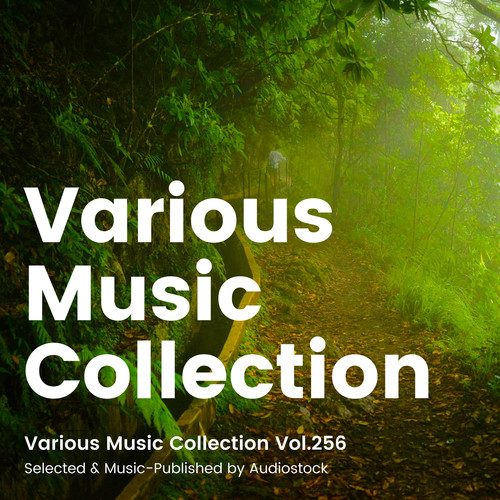Various Music Collection Vol.256 -Selected & Music-Published by Audiostock-