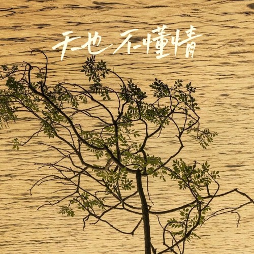 天也不懂情（云淡风轻 一轮江月明）