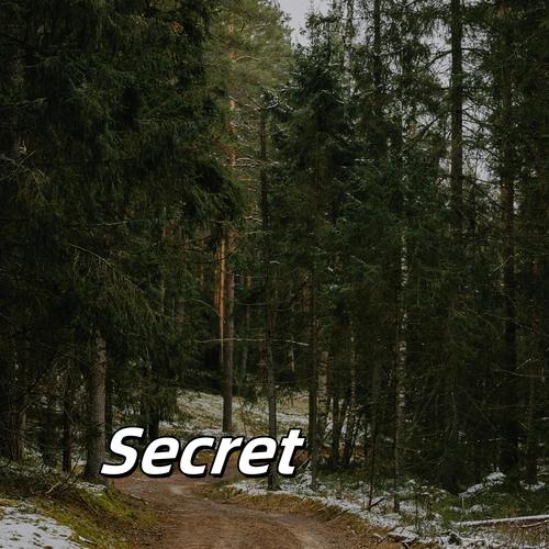 Secret