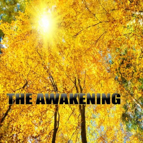 The Awakening