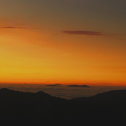 Alba