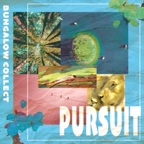 Pursuit (Explicit)