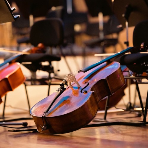 Pets' Relaxing Orchestra Melodies