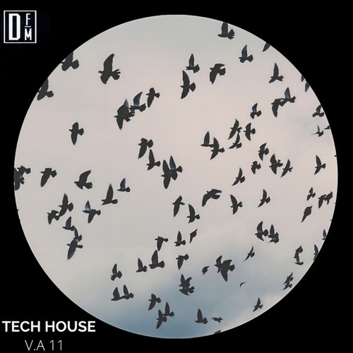 Tech House v.a 11