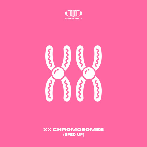 XX Chromosomes (Sped Up) [Explicit]