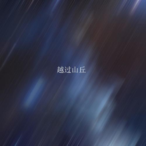 向云端（DJ版）
