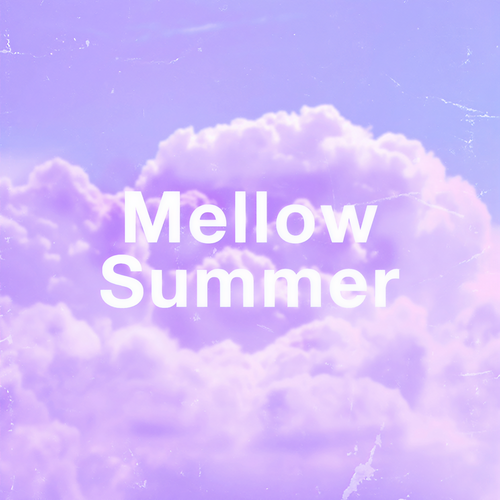 Mellow Summer (Explicit)