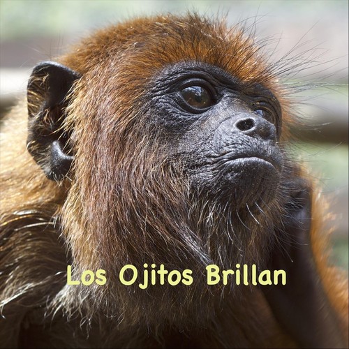 Los Ojitos Brillan (Explicit)