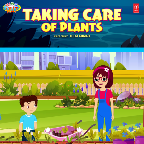 Taking Care Of Plants