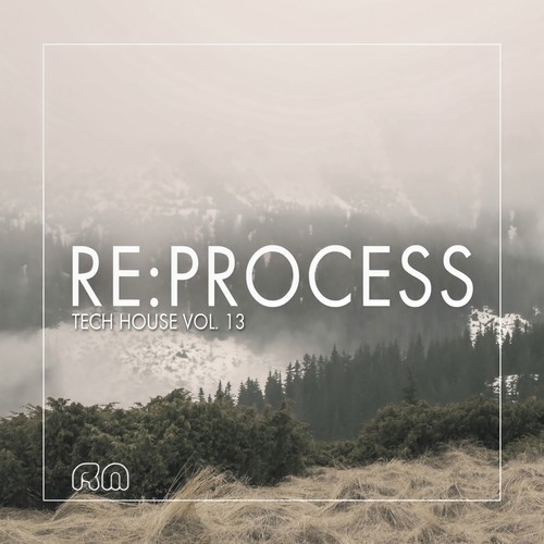 Re:Process - Tech House, Vol. 13