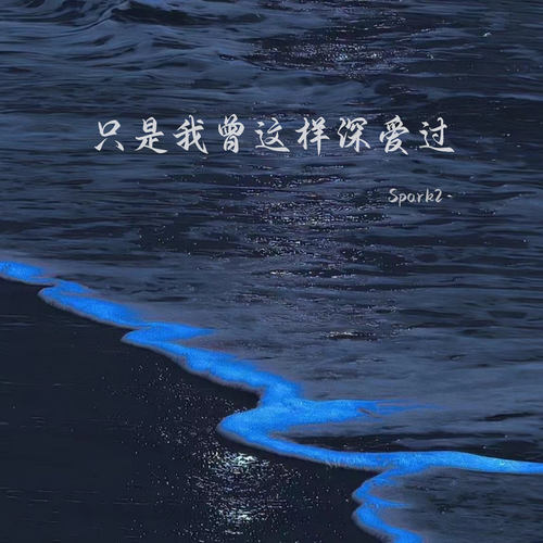 只是我曾这样深爱过