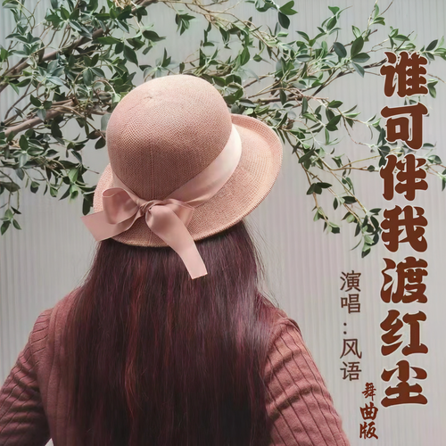 谁可伴我渡红尘 (舞曲版)