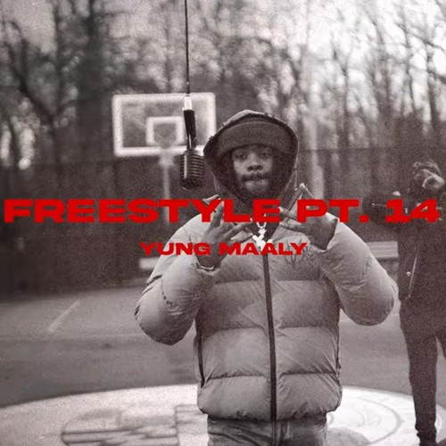 Freestyle Pt. 14 (Explicit)
