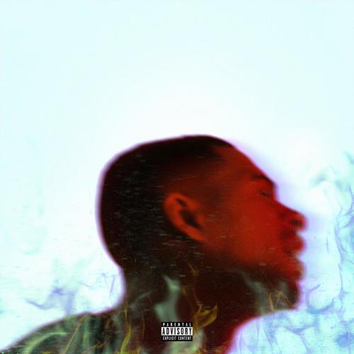 Platinum Fire (Deluxe) [Explicit]