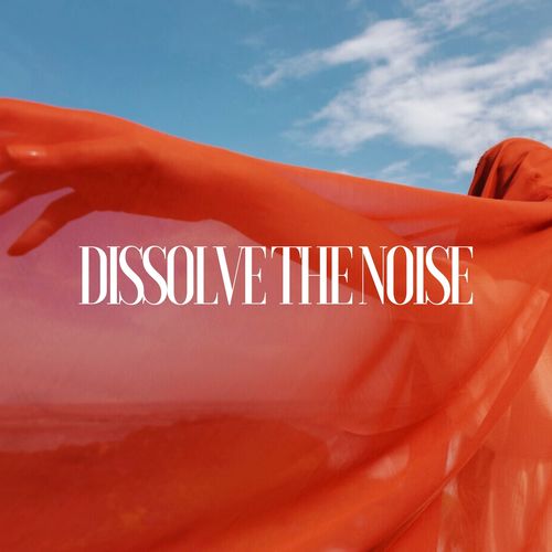 Dissolve the Noise (A Journey to Stillness)