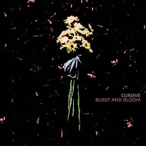 Burst and Bloom