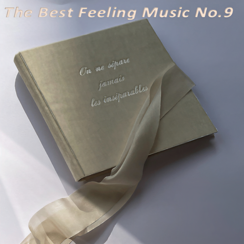 The Best Feeling Music No.9