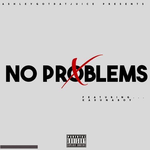 No Problems (feat. KadunaBoy)