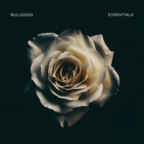 Bulldogg Essentials (Explicit)