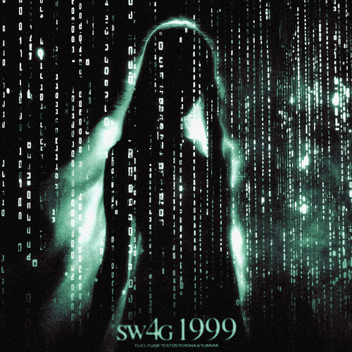 sw4g1999