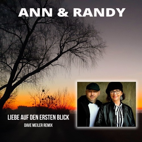 Liebe auf den ersten Blick (Dave Meiler Remix)