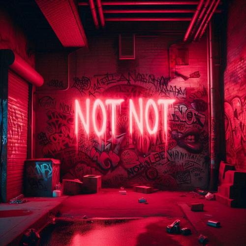 NOT NOT (feat. Chrit) [Explicit]