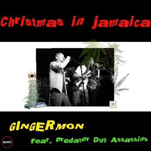 Christmas in Jamaica (feat. Predator Dub Assassins)