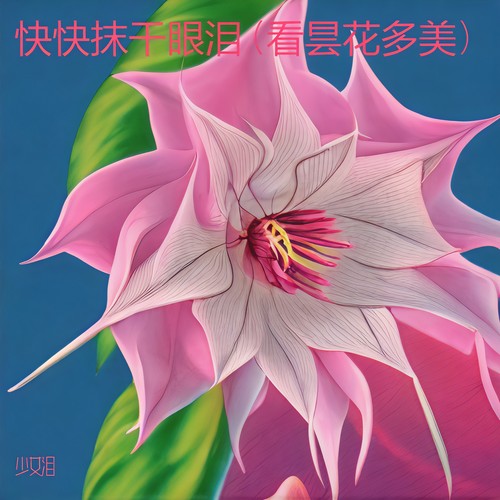 快快抹干眼泪（看昙花多美）