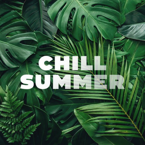 Chill Summer 2024 (Explicit)