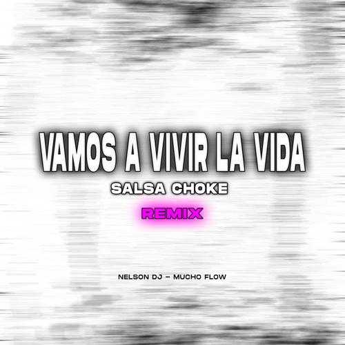 Vamos A Vivir La Vida (feat. Mucho Flow) [Remix]
