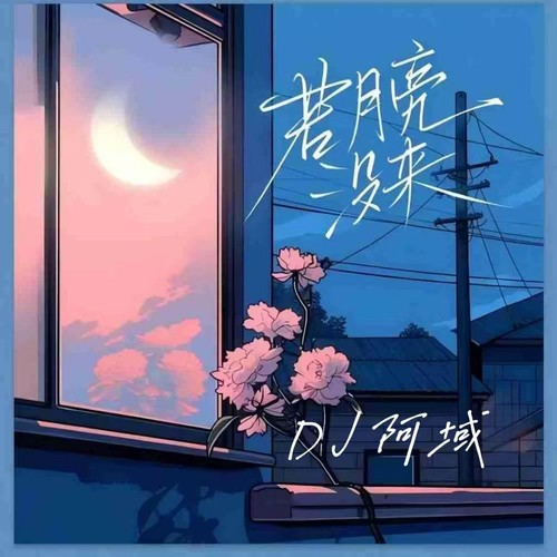 若月亮还没来 (DJ域总版)