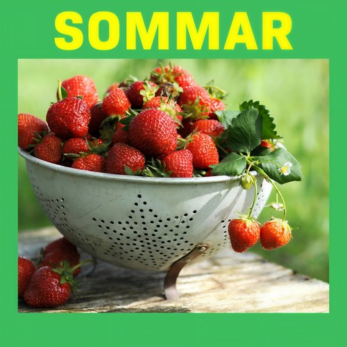 Sommar (Explicit)