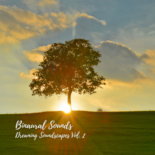 Binaural Sounds: Dreaming Soundscapes Vol. 2