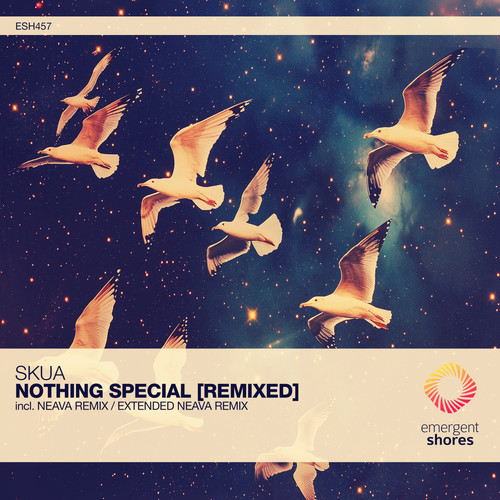 Nothing Special [Remixed]