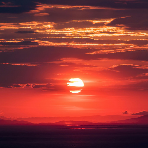 Under the Sunset