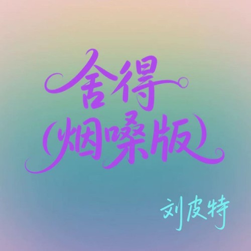 舍得 (烟嗓版)