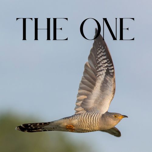 The One