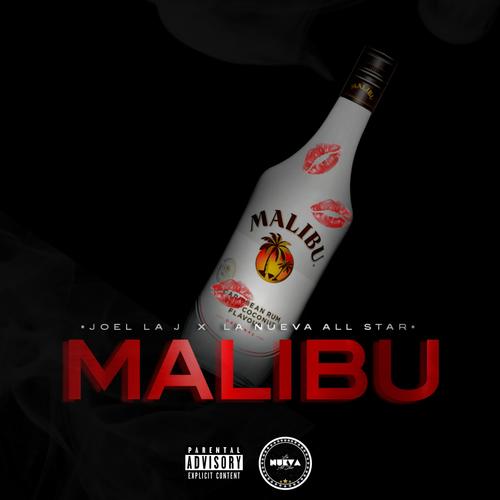 Malibu (feat. Joel La J) [Explicit]