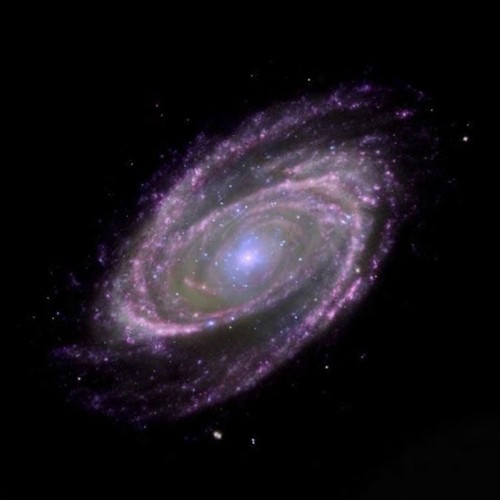 stardust