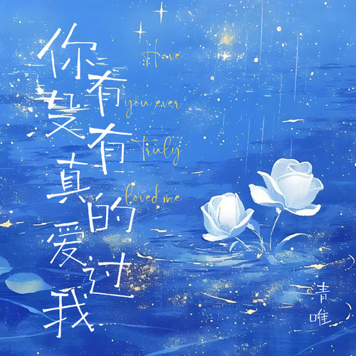 你有没有真的爱过我（男版）