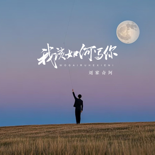 我该如何写你