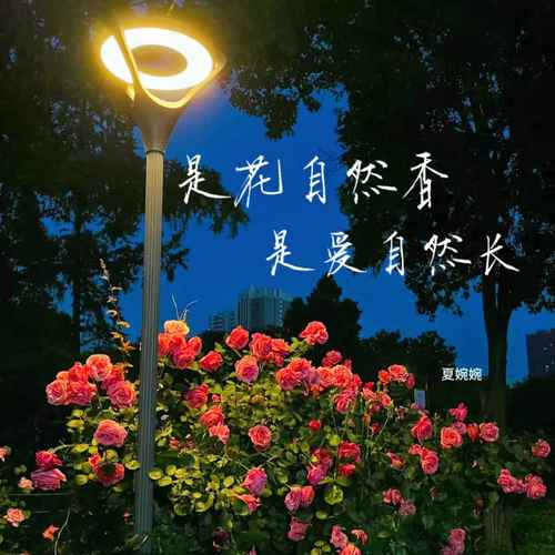 是花自然香 是爱自然长