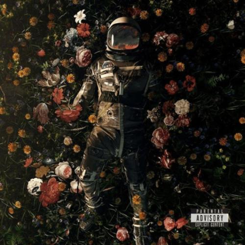 FREQUENCIES 3 (Explicit)