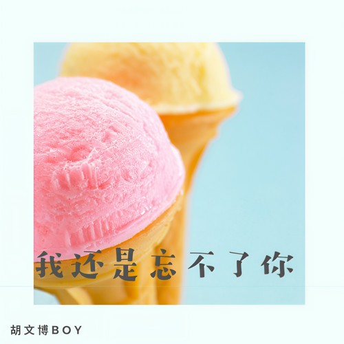 我还是忘不了你