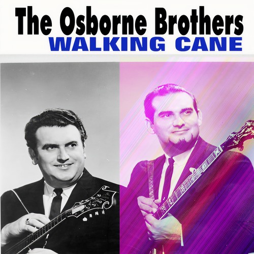 Walking Cane