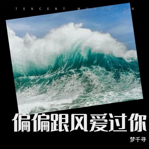 偏偏跟风爱过你