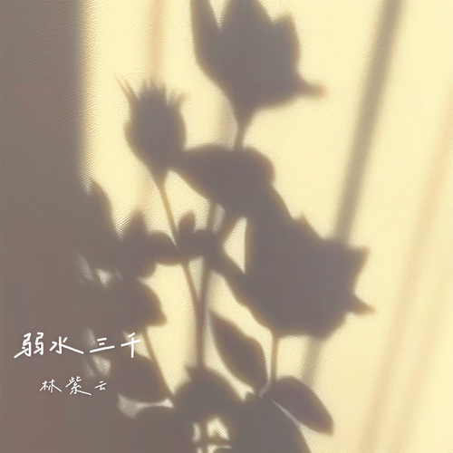 弱水三千
