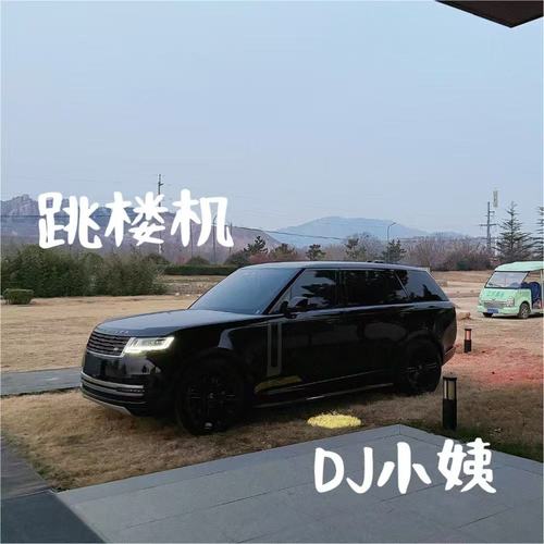 跳楼机 (DJ重置版)